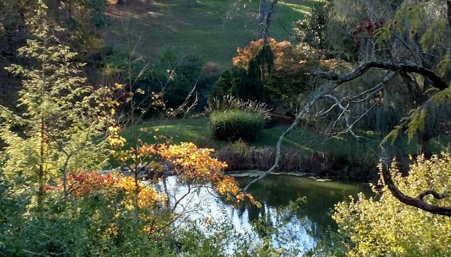 Mt. Airy Arboretum, United States